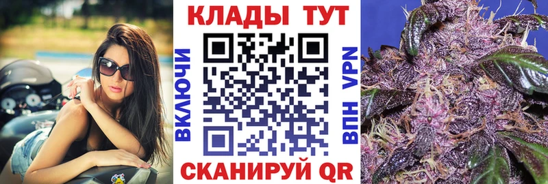 Магазины продажи наркотиков Задонск Гашиш Alpha-PVP Мефедрон