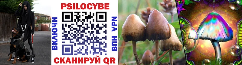 Галлюциногенные грибы MAGIC MUSHROOMS  ОМГ ОМГ   Задонск  где купить наркоту 