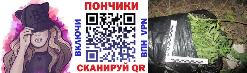 Канабис гибрид Задонск